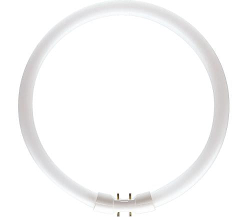 Philips TL5 Circular 55W 840 Master Kaltweiß 2Gx13 | 10 Stück