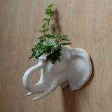 Keramischer Elefantenkopf-Wanddekorations-Blumentopf im Innenbereich