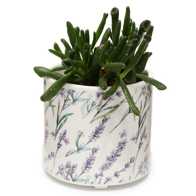 „Pick of the Bunch“-Lavendelfelder-Stehblumentopf für den Innenbereich – groß