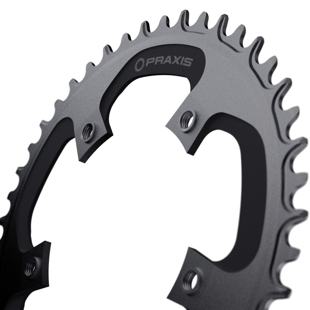 Praxis Kettenblatt 1x E-Ring 110bcd m8 44t