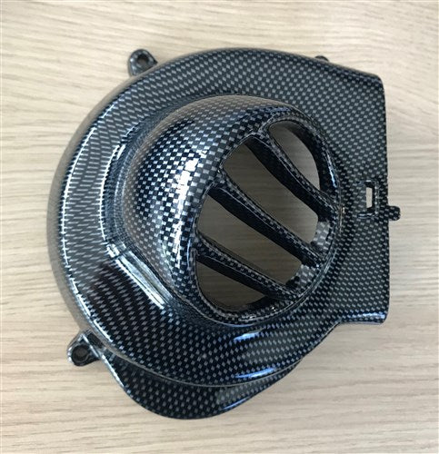 Piaggio Puch Gilera Kühlerhaube Kohlenstoff