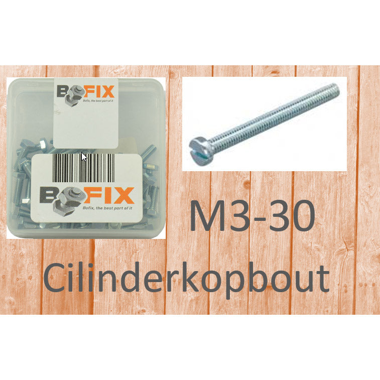 Bofix -Zylinderkopfbußen M3x30 verzinkt (50.)