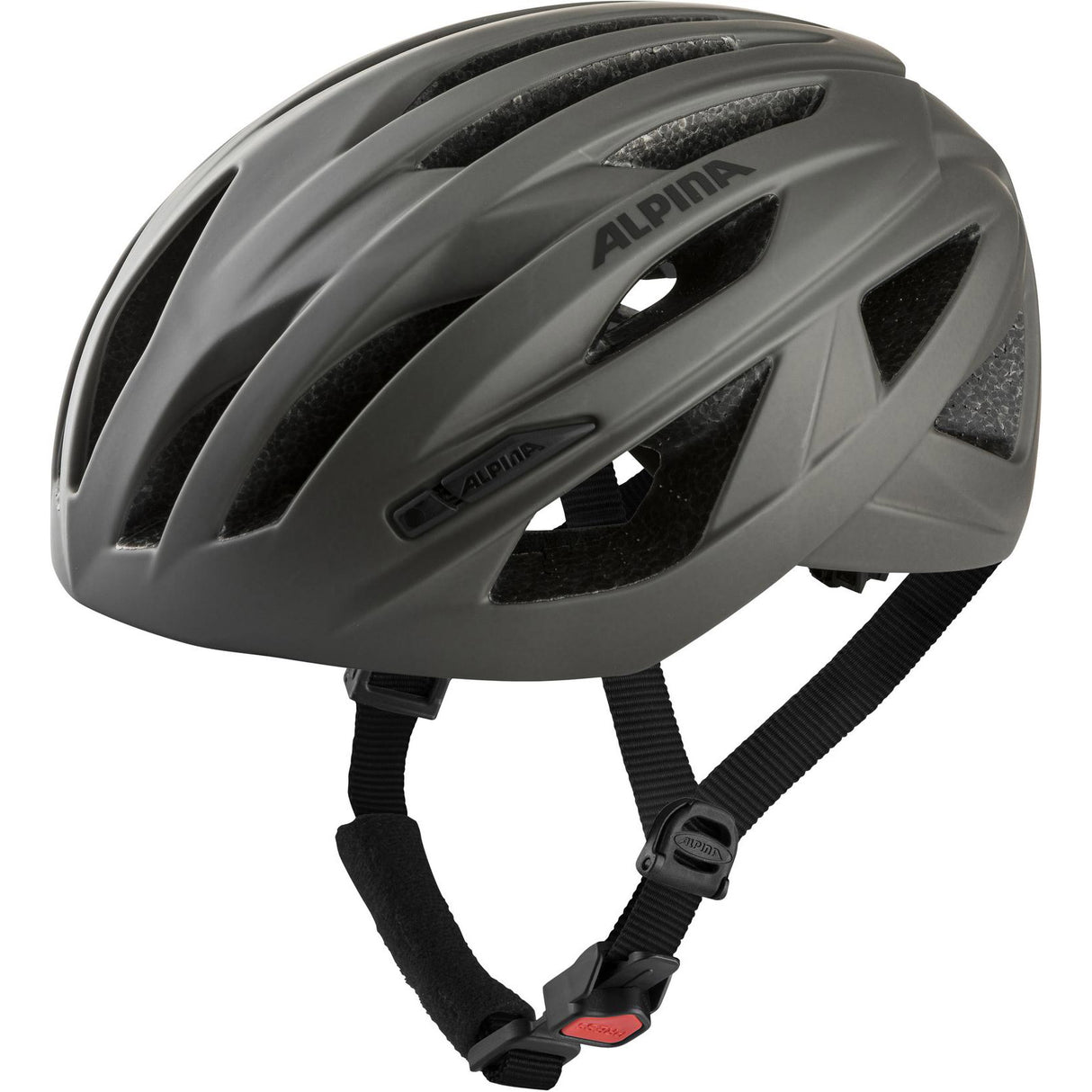 Alpina Sport-Rennhelm Path 51-56 mattgrau