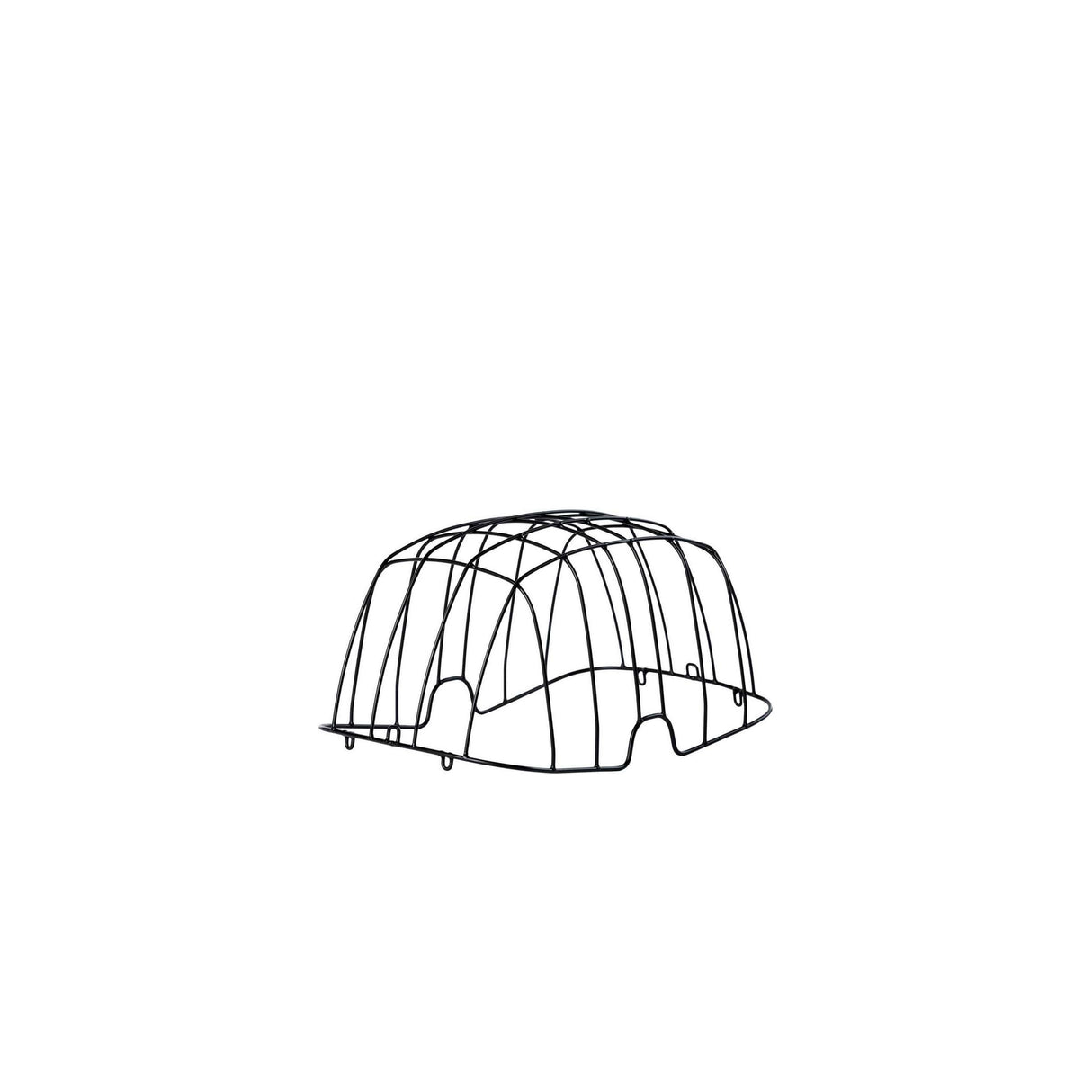 Basilikum Buddy - Dome - Schwarz