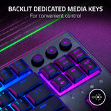 Razer ornata v3 tkl