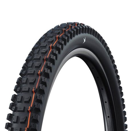 Schwalbe Albert Gravity Pro – TLR – Addix Soft – Radial – 29 x 2,50 – Schwarz