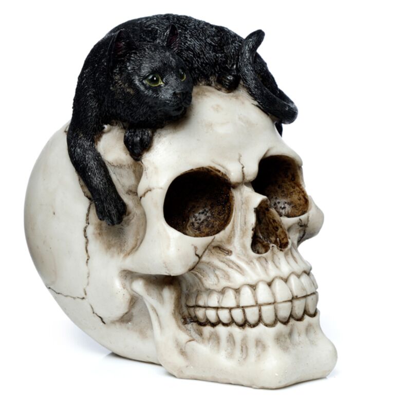 Totenkopf mit schwarzer Katze als Wohnaccessoire