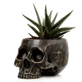 Totenkopf-Blumentopf im Inneren