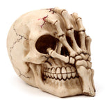 Totenkopfkopf mit Skelettkralle als Wohnaccessoire