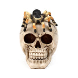 Totenkopf mit Spinne