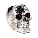 Silberner Totenkopf, schwarzes Spinnennetz