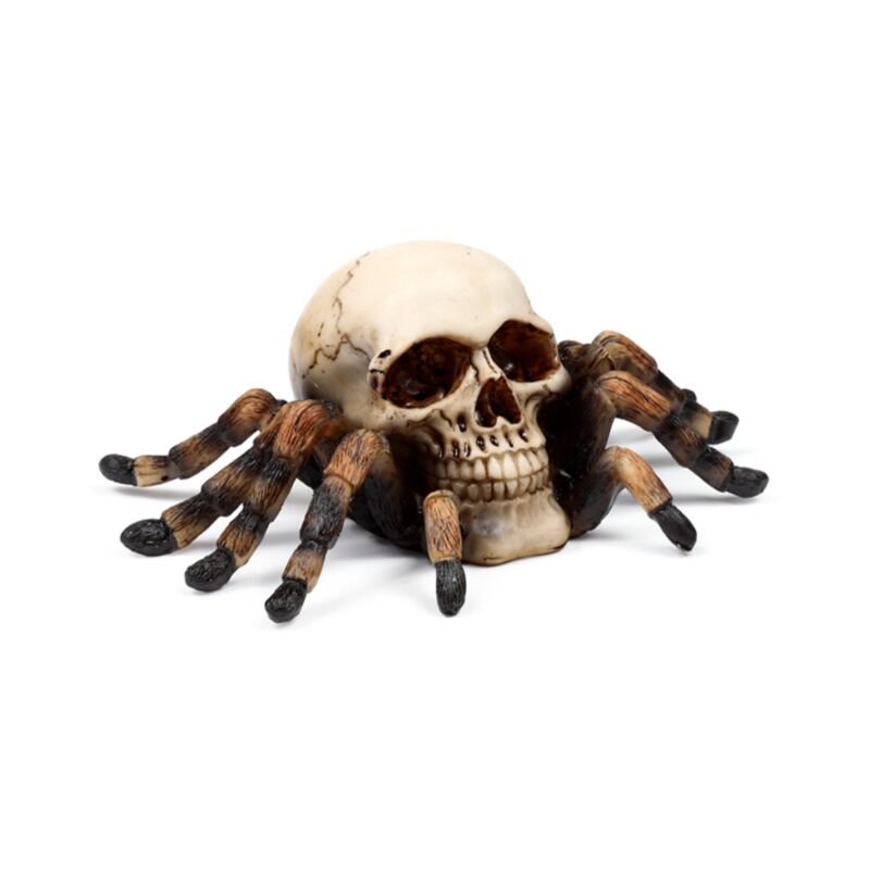 Totenkopf mit Spinnenbeinen