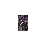 Abus Fideslots Bordo Granit Xplus 6500K 90 Schwarz