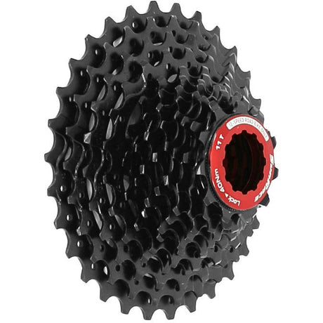 Sunrace Kassette CSRZ800 12V 11-36T schwarz rot