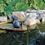 Ubbink Frosch Spray Figur