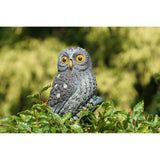 Ubbink Kleine Owl