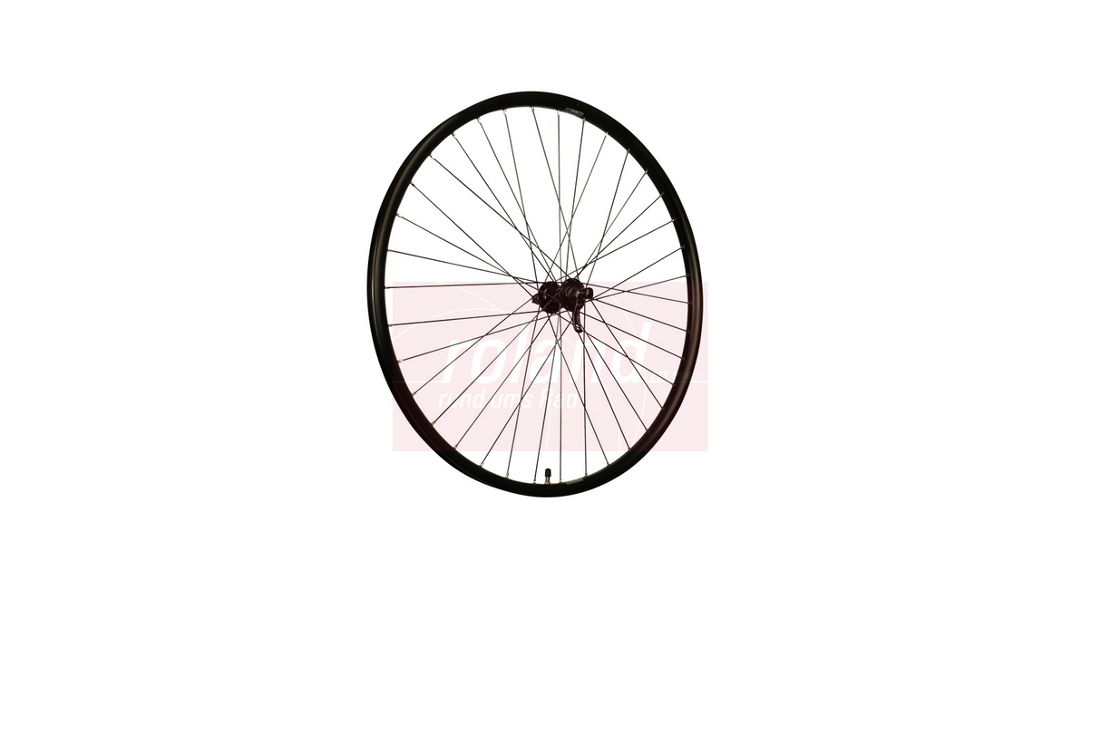 Roland Frontrad Ryde 28 Rival26 Shimano QC400 Schwarz