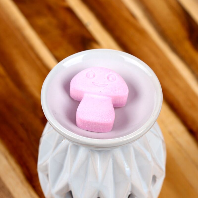 Ylang-Ylang-Set mit 6 Wachsschmelzen