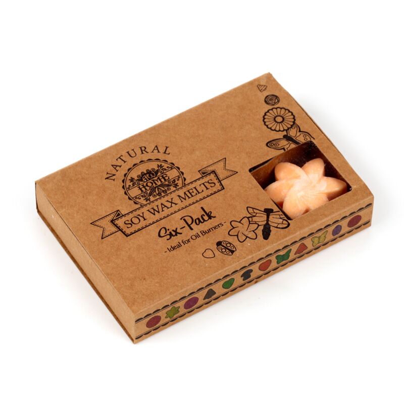 Mangofrucht-Set mit 6 Wachsschmelzen