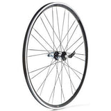 Miche Wielset Reflex XL Silber Velgrem Clincher Shima Pass