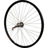 Roland Hinterrad 28 Andra 40 Shimano Remonaf Schwarz