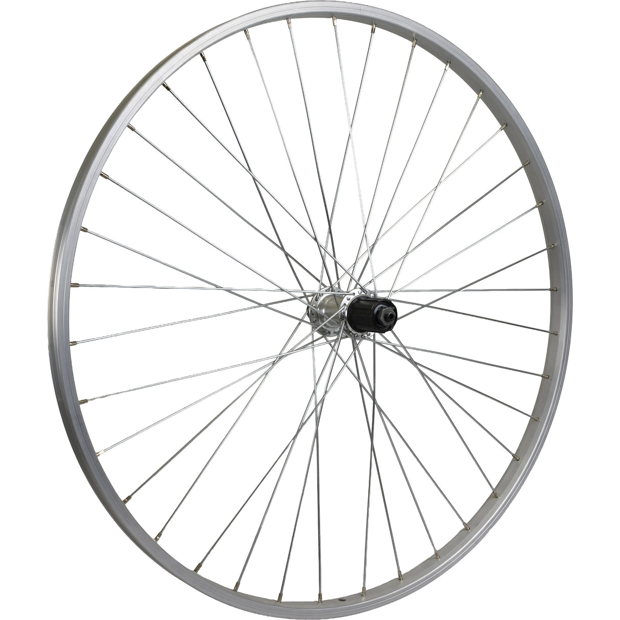 Roland Hinterrad Mach1 28 8V QR Alu Silber