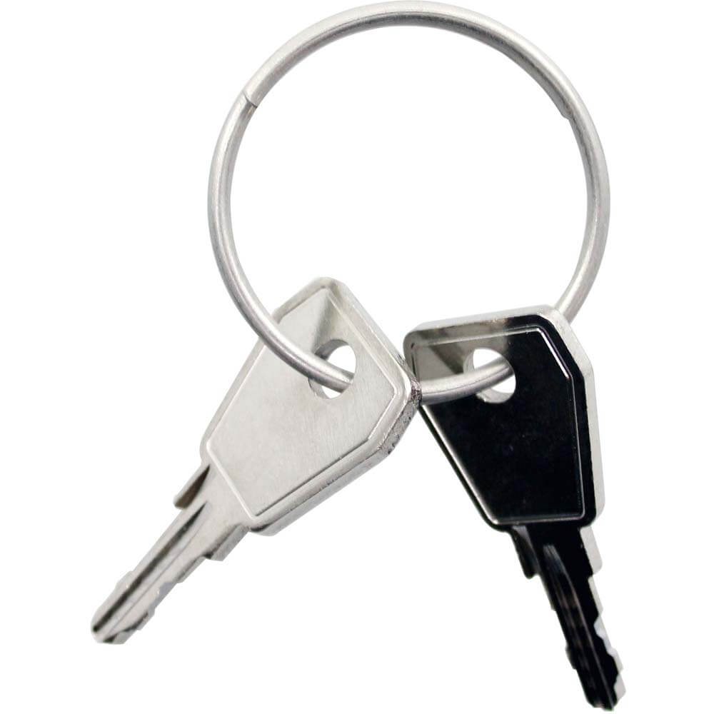 Thule Yepp Key Nexxt P0 2 pieces