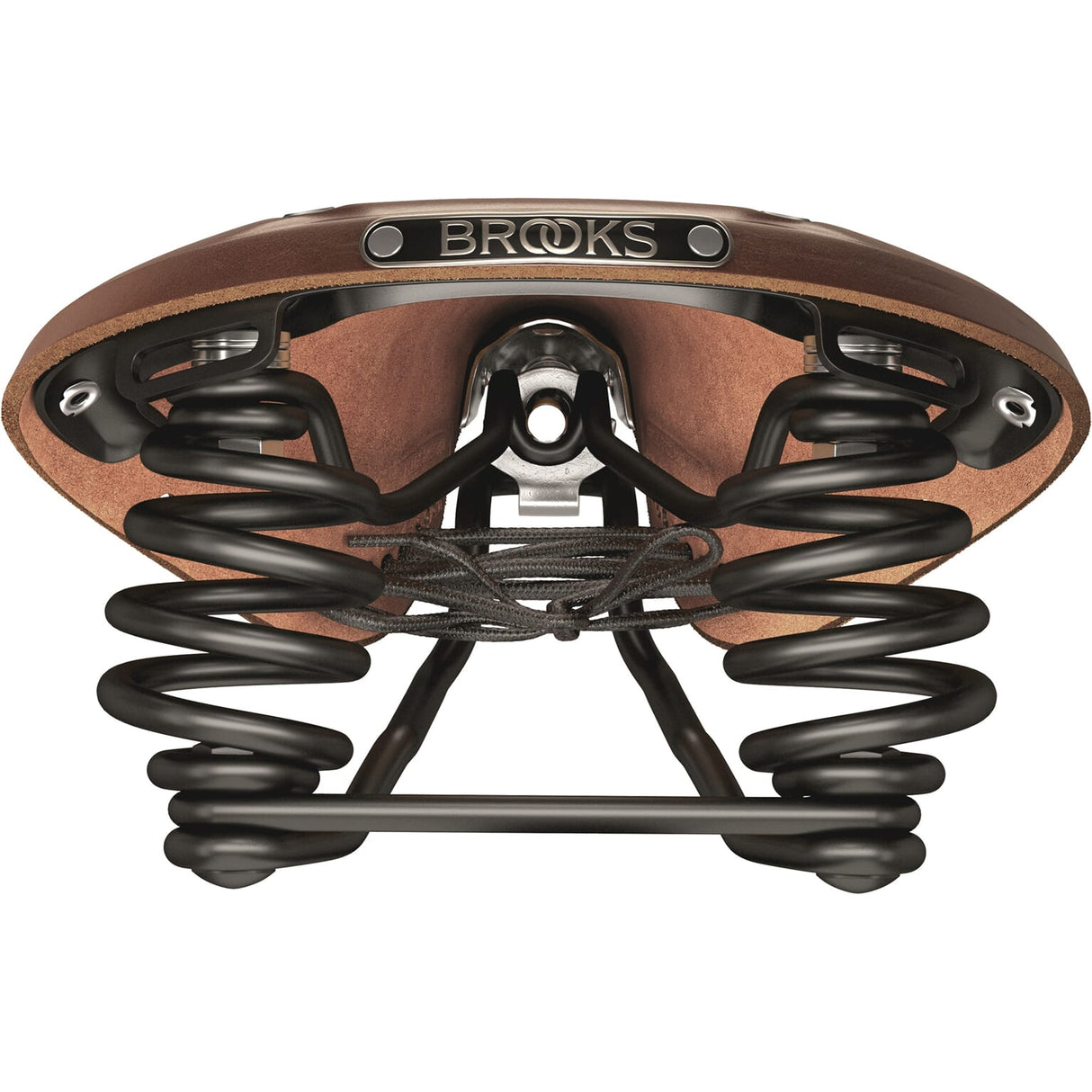 Brooks Saddle Flyer rzeźbił A. Bruin