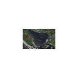 Selle Royal Saddle Lookin Evo Moderate Stracciatella Schwarz