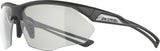 Alpina Nylos HR – Sportbrille