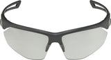 Alpina Nylos HR – Sportbrille