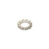 Bofix Zahnfeder Ring M6 Edelstahl (P100)