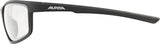Alpina Defey - Sportbrille