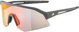 Alpina Sonic HR qv – Sportbrille