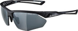 Alpina Nylos HR – Sportbrille