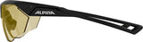 Alpina Nylos HR – Sportbrille