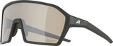 Alpina Ram Q-Lite V – Sportbrille