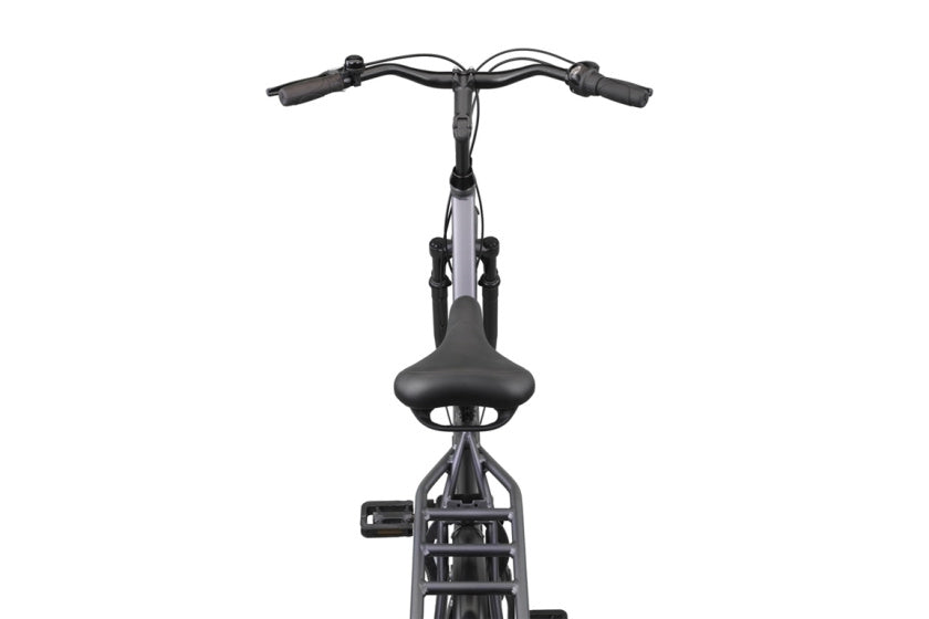 Altec Delta + plus 28 Zoll Ladies Bike N-3 50 cm Matte Grau