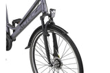 Altec Delta + plus 28 Zoll Ladies Bike N-3 50 cm Matte Grau