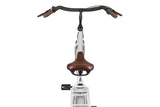 Altec süßes Mutterfahrrad 28 Zoll 56 cm Damen 3G Rollenbremse Silber