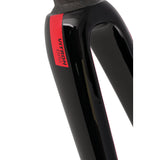 Verschiedene Isaac - Gabel Vitron schwarz rot (Größe 49 - 58)