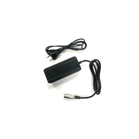 Van Beijck Batterieladegerät XLR 3-polig Neutrik 36 Volt 2 Ah