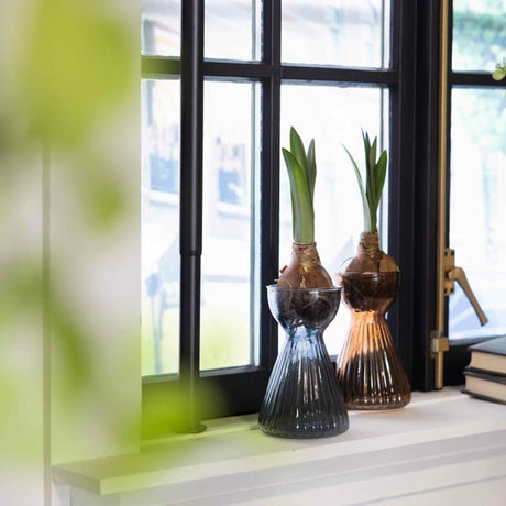 Esschert Design Glühbirnenvase gerippte Amaryllis