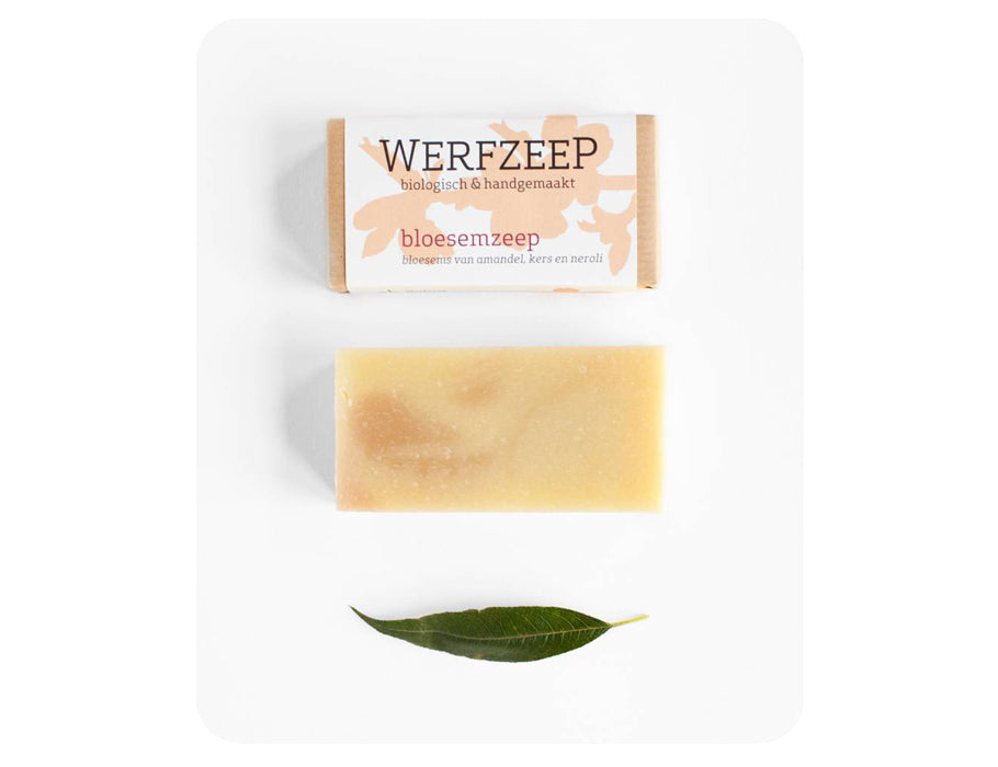 Werf Seifenblüte Seife - 100 g