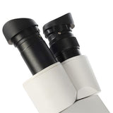 Byomic stereo microscope byo-st3