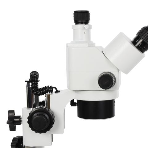 Microscope stéréo byomic LED BYO-ST341