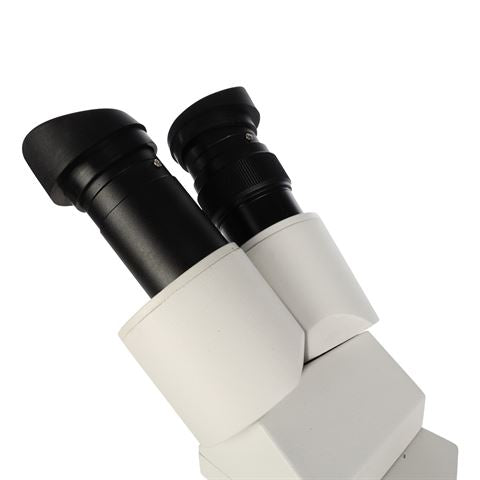 Byomic stereo microscope byo-st3Led