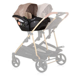 Chipolino Duo Autositz 40-87 cm Gruppe 0+ Golden Black Beige
