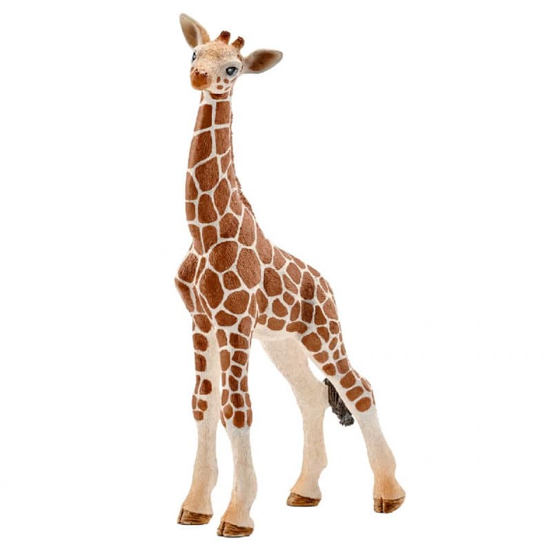 Schleich Wild Life Baby Garaffe 14751