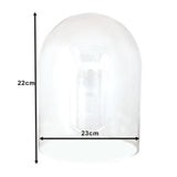 Clayre Eef Glasglocke 6gl3548 transparent 23x22 cm